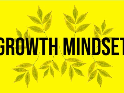 Growth Mindset and Mindfullness in the Arts.